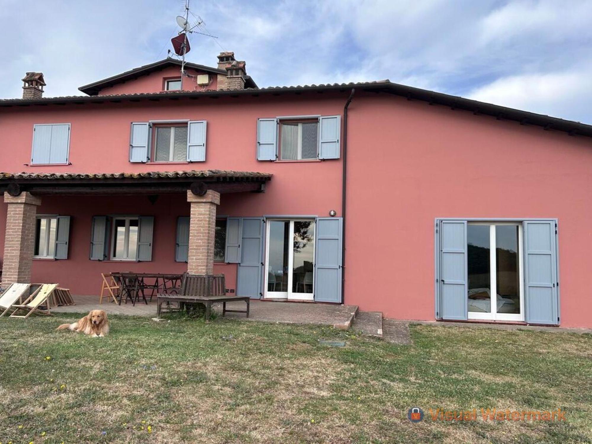 Paradiso Sulle Colline Parmensi Medesano Exterior foto